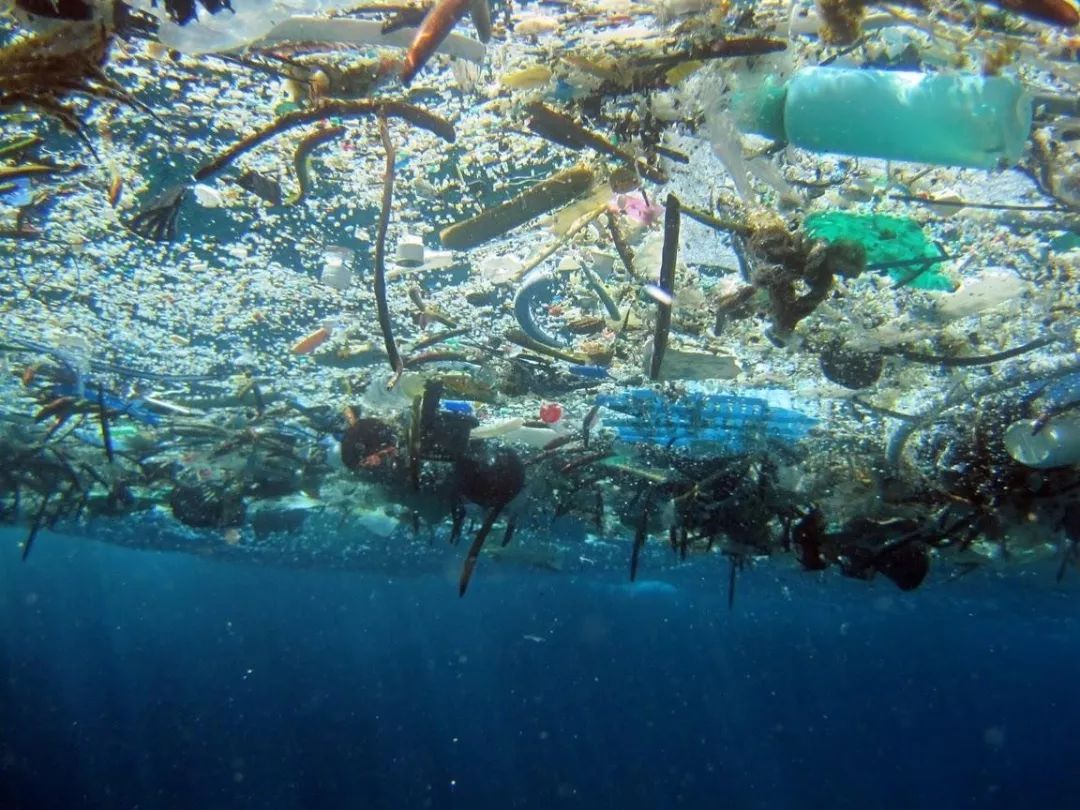 Reusable AND recyclable food packaging – reuse first, recycle later